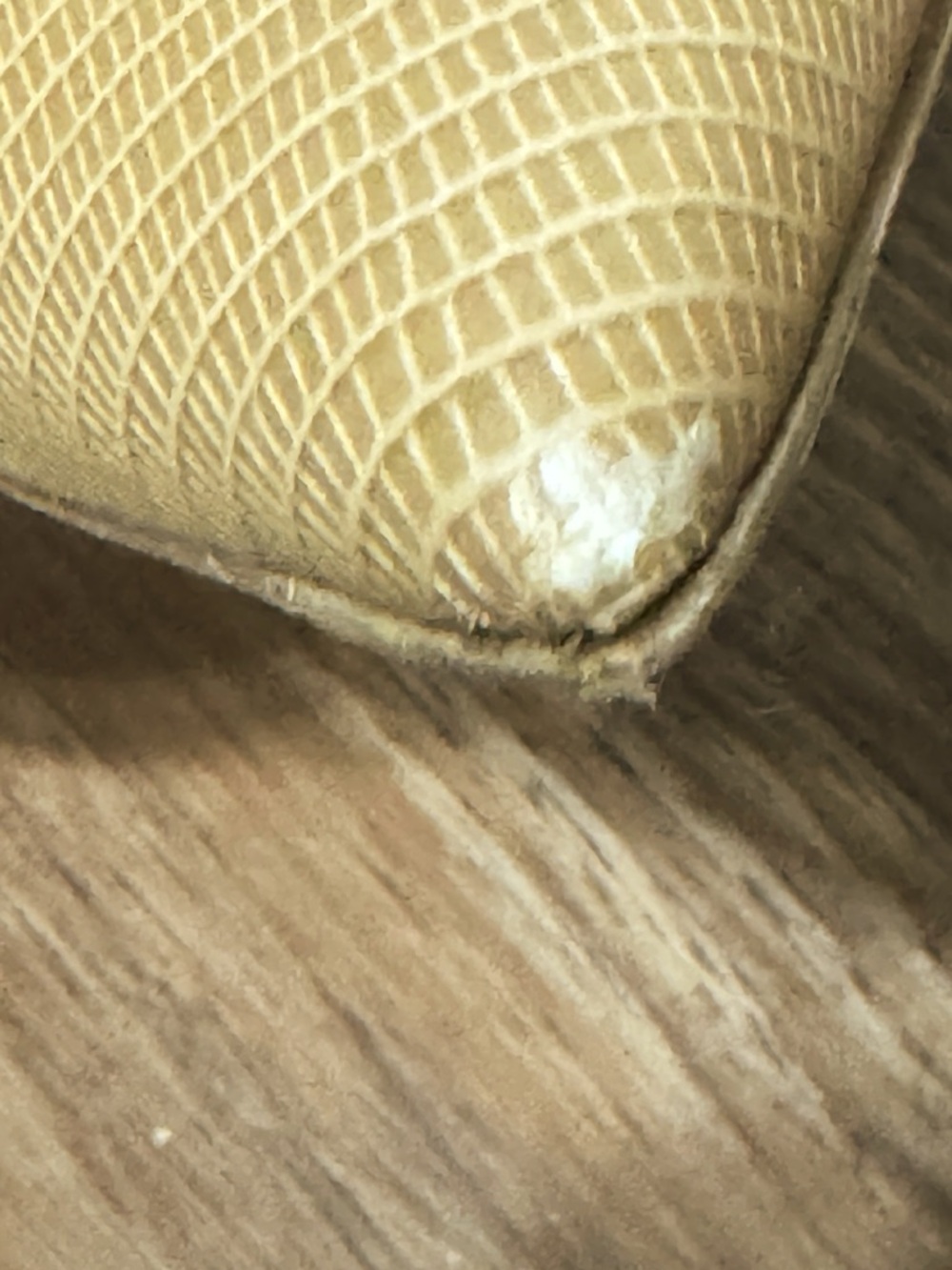 M.M.LaFleur Ginger Pumps - Embossed Lizard in Wheat EU 39.5/US 8.5/9 - Picture 8 of 12